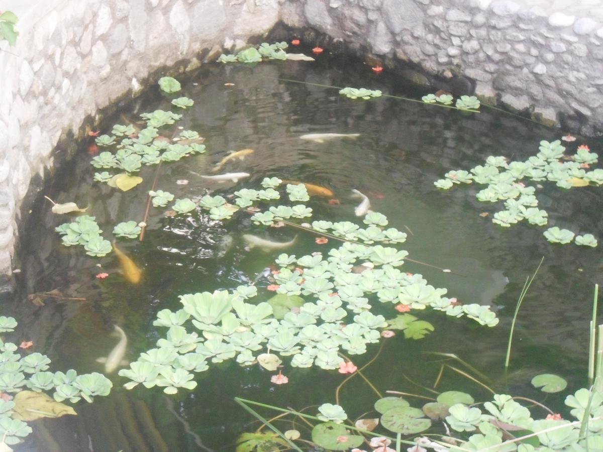 Garden Roomz Oman Маскат Екстер'єр фото