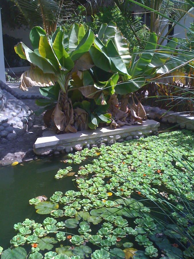 Garden Roomz Oman Маскат Екстер'єр фото