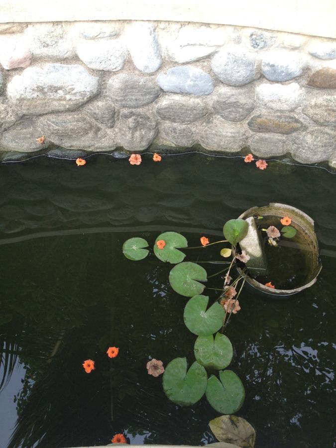 Garden Roomz Oman Маскат Екстер'єр фото