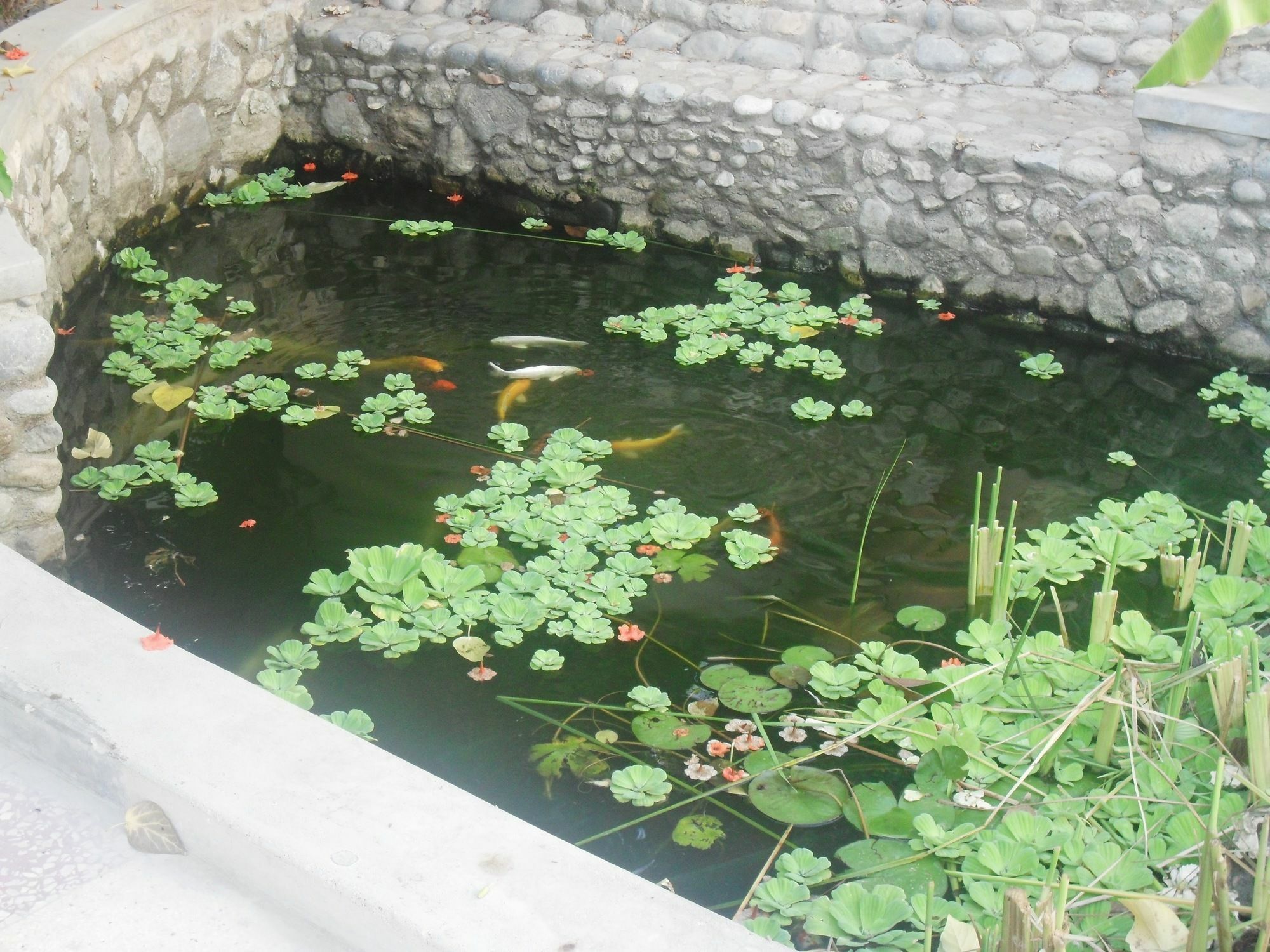 Garden Roomz Oman Маскат Екстер'єр фото